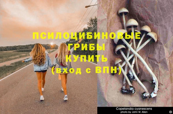 таблы Нязепетровск