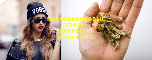 герыч Няндома
