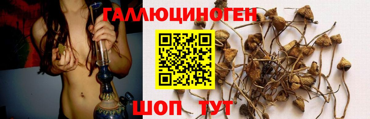 Псилоцибиновые грибы ЛСД  закладки  Псилоцибиновые грибы мухоморы  Элиста  Вход с VPN 