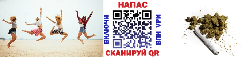 Бошки Шишки конопля  Элиста 